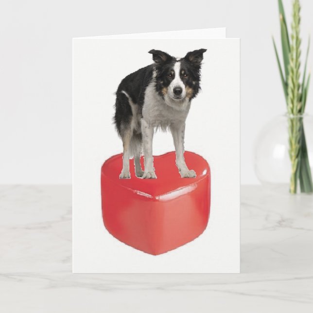 Border Collie On Heart Valentine's Day Card (Front)