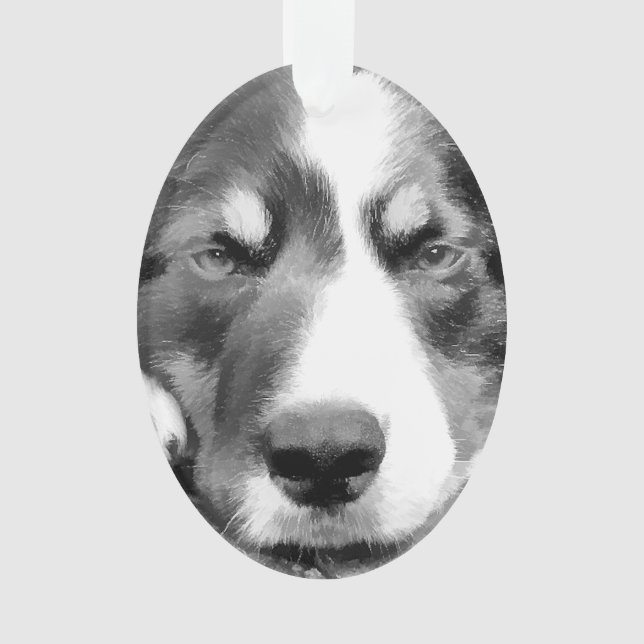 BORDER COLLIE ORNAMENT (Front)