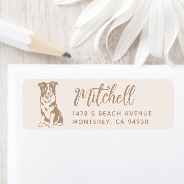 Border Collie Owner Return Address Dog Owner label (Insitu)