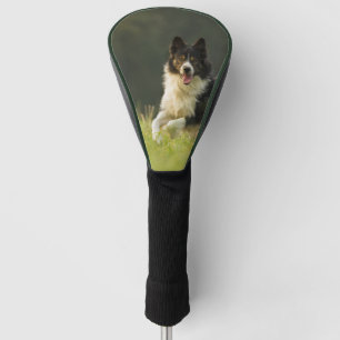border collie p9 golf head cover