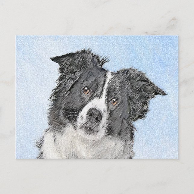 Border Collie Painting - Cute Original Dog Art Postcard (Front)