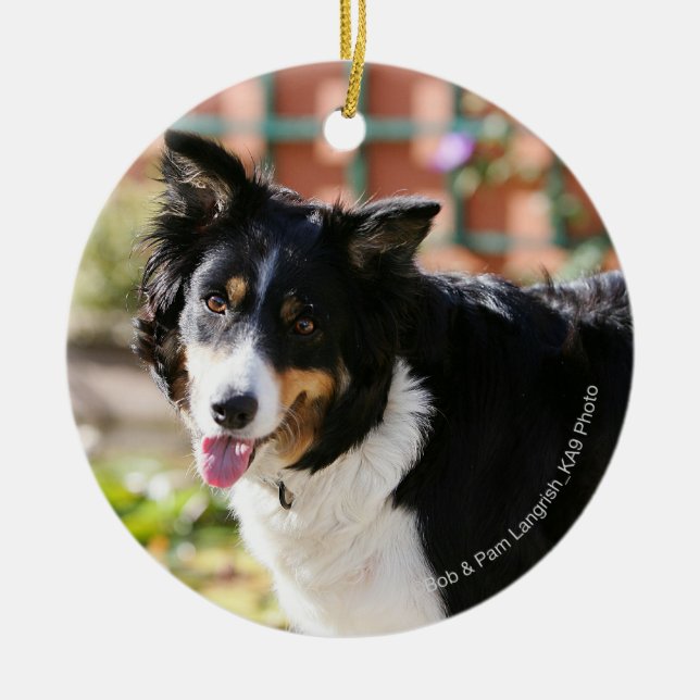 Border Collie Panting 1 Ceramic Ornament (Front)