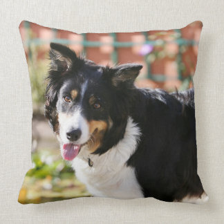 Border Collie Panting 1 Cushion