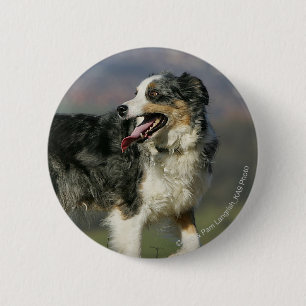 Border Collie Panting 2 6 Cm Round Badge