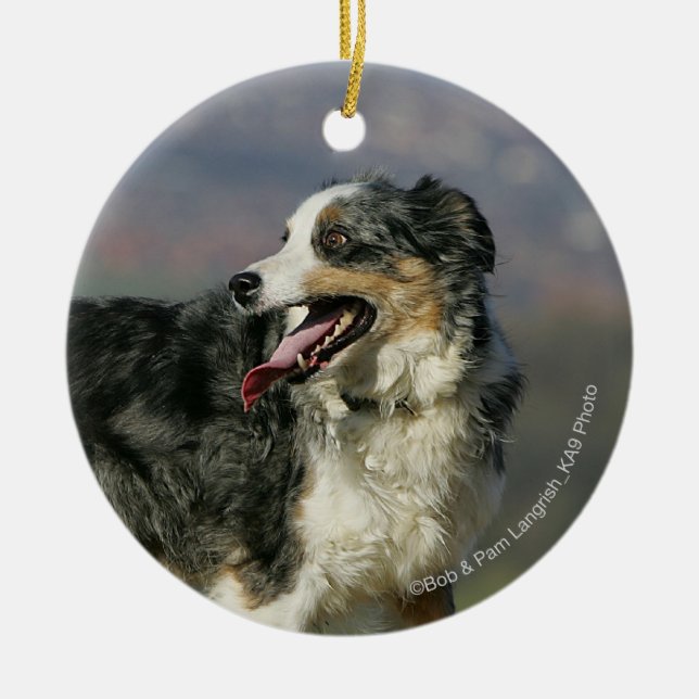 Border Collie Panting 2 Ceramic Ornament (Front)