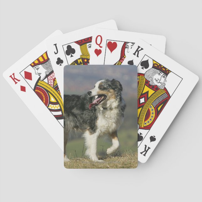 Border Collie Panting 2 Playing Cards (Back)