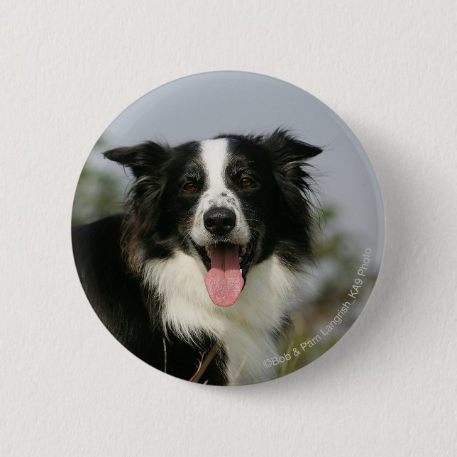 Border Collie Panting Headshot 1 6 Cm Round Badge (Front)