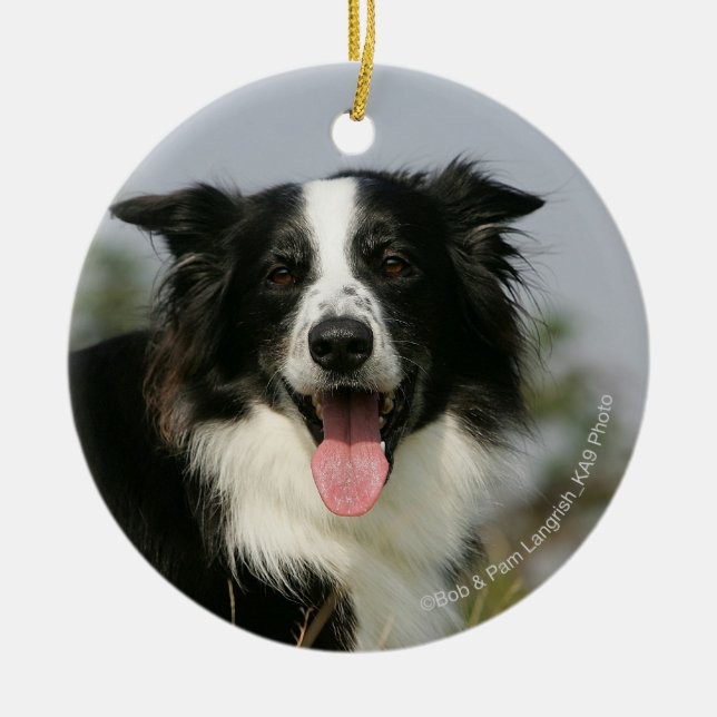 Border Collie Panting Headshot 1 Ceramic Ornament (Front)