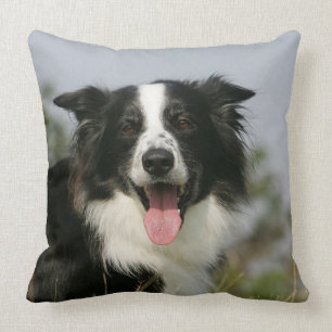 Border Collie Panting Headshot 1 Cushion