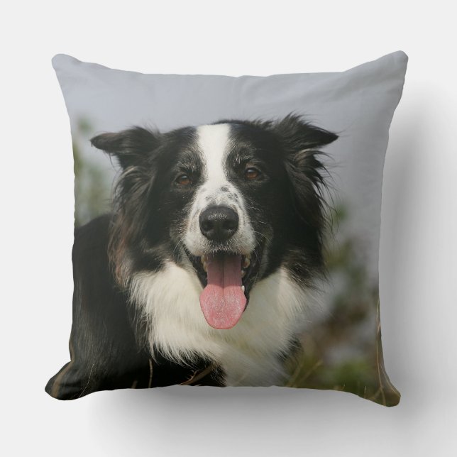Border Collie Panting Headshot 1 Cushion (Front)