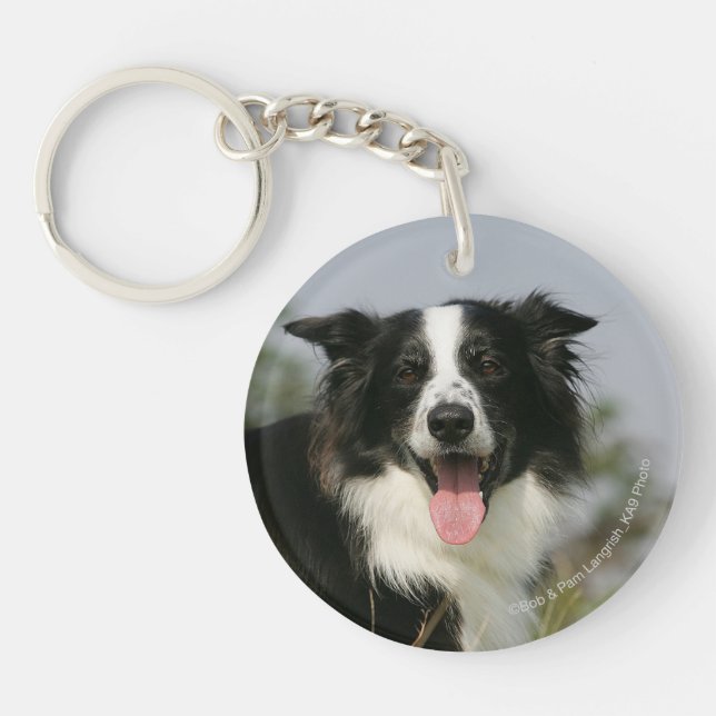 Border Collie Panting Headshot 1 Key Ring (Front)