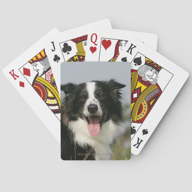 Border Collie Panting Headshot 1 Playing Cards (Back)