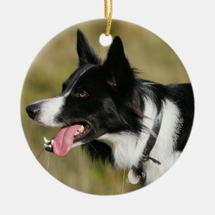 Border Collie Panting Headshot 2 Ceramic Tree Decoration