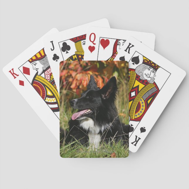Border Collie Panting Laying Down Playing Cards (Back)