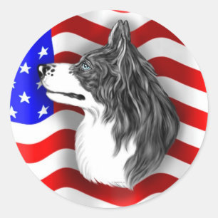 Border Collie Patriot Classic Round Sticker