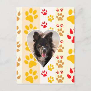 Border Collie Paw Print Love Heart Postcard