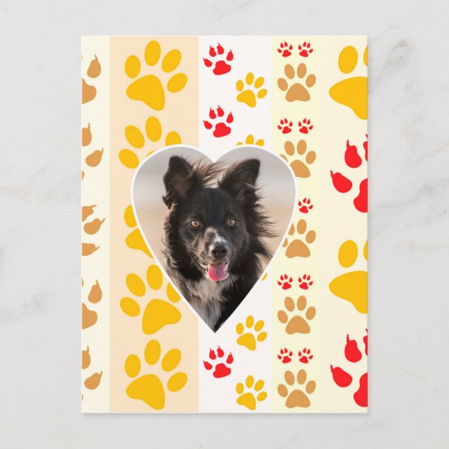 Border Collie Paw Print Love Heart Postcard (Front)