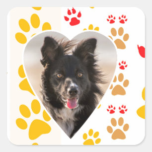 Border Collie Paw Print Love Heart Square Sticker