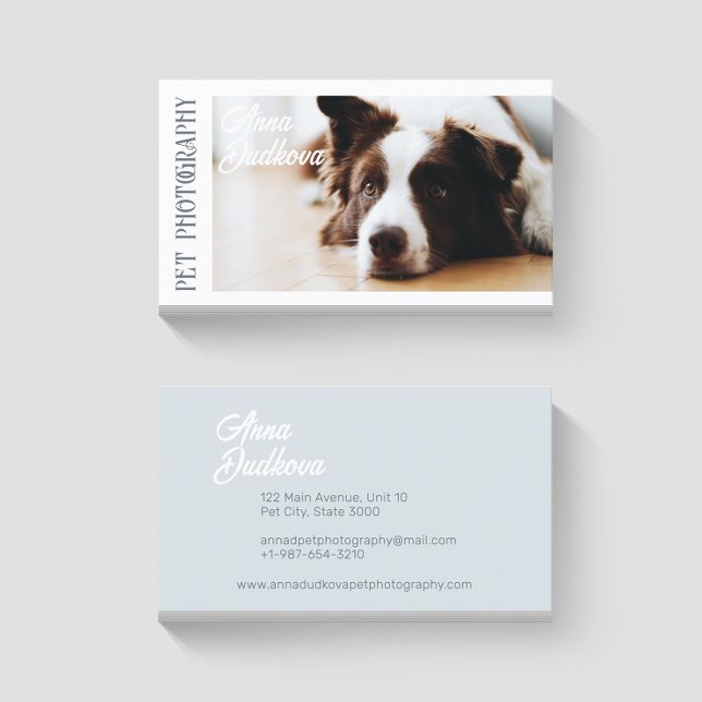 Border Collie Pet Photography Business Card (Creator Uploaded)