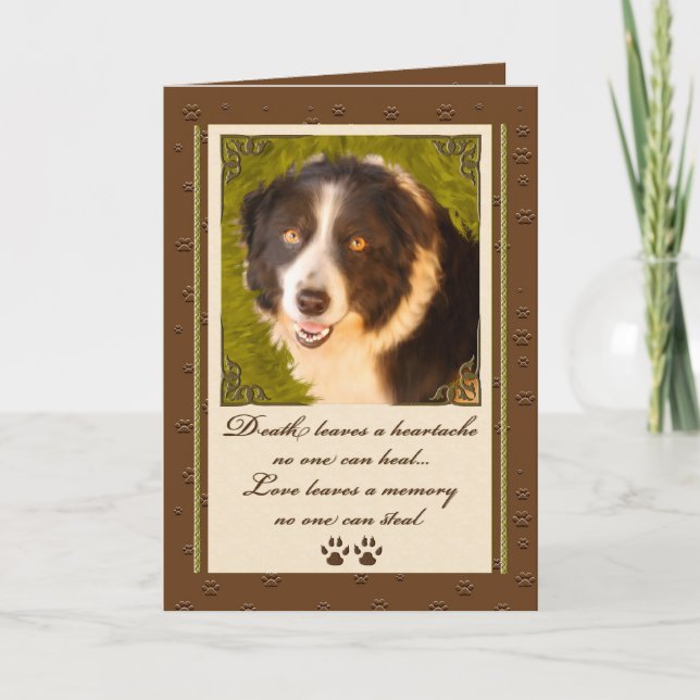 Border Collie Pet Sympathy Loss of a Dog Card (Front)