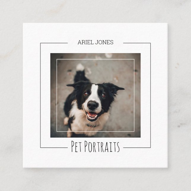 Border Collie Photograph Pet Portraits Photography Square Business Card (Front)