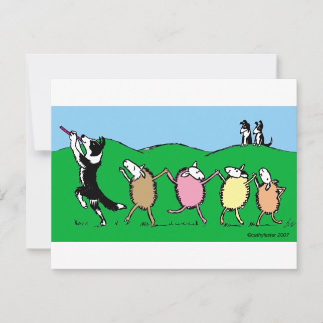 Border Collie Pied Piper (Front)