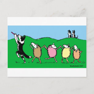 Border Collie Pied Piper Postcard
