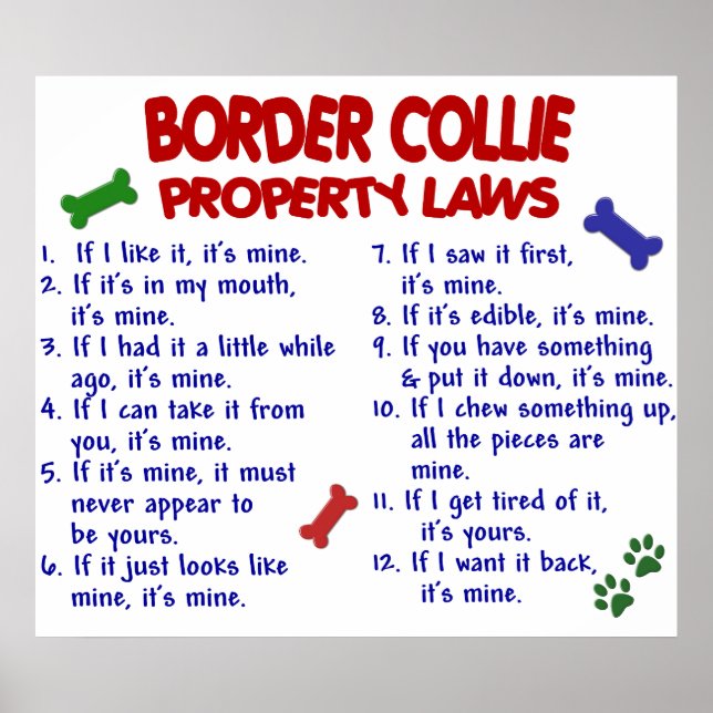 BORDER COLLIE PL2 POSTER (Front)