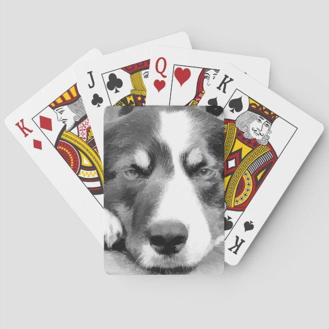 BORDER COLLIE PLAYING CARDS (Back)