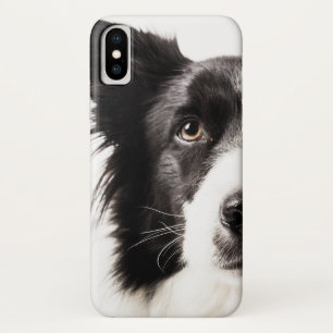 Border Collie Portrait iPhone X Case