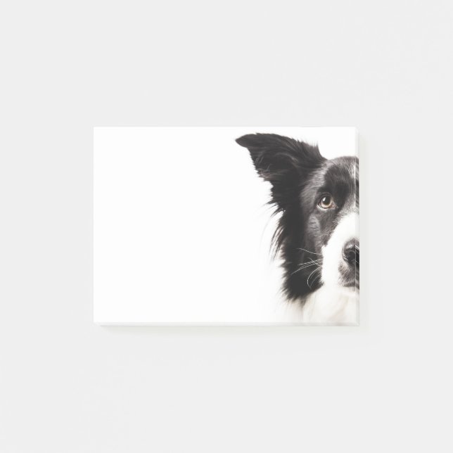 Border Collie Portrait Post-it Notes (Front)