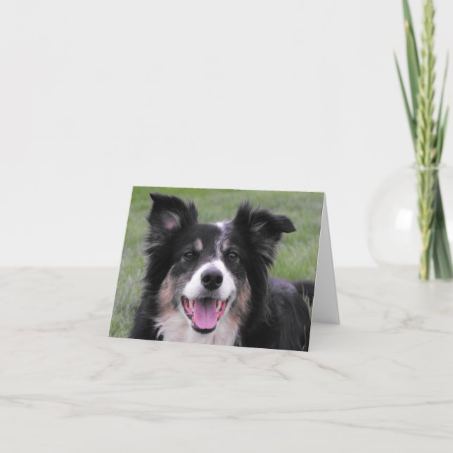 Border Collie Portrait Thank You Card (Front)