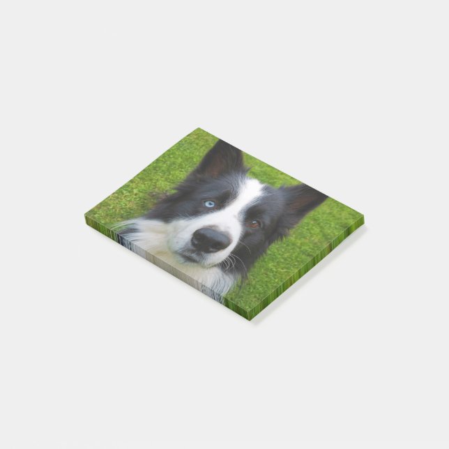 Border Collie Post-it Notes (Angled)