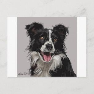 Border Collie Postcard