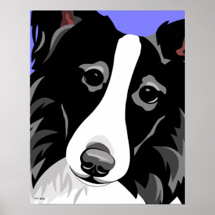 Border Collie Posters