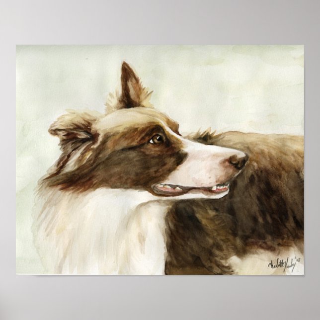 "Border Collie Profile" Art Reproduction Print (Front)