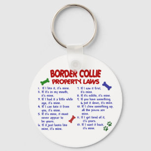 BORDER COLLIE Property Laws 2 Key Ring