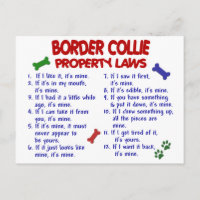 BORDER COLLIE Property Laws 2