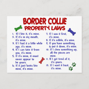 BORDER COLLIE Property Laws 2 Postcard