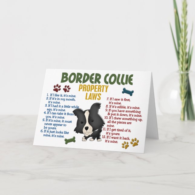 Border Collie Property Laws 4 Card (Front)