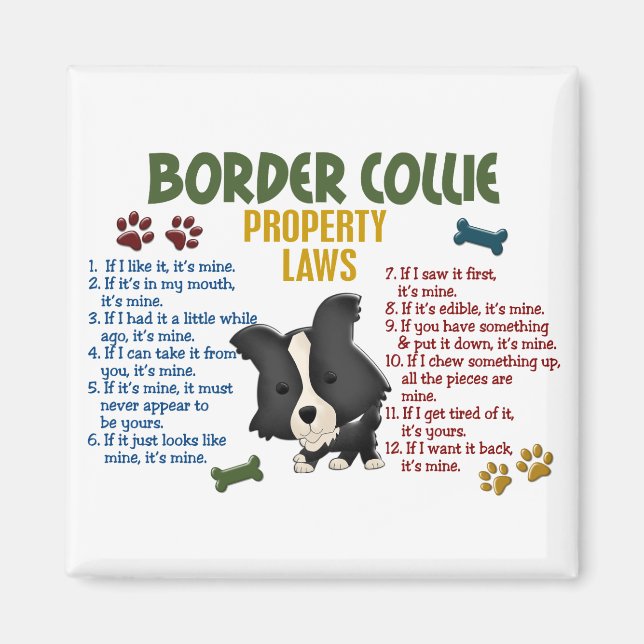 Border Collie Property Laws 4 Magnet (Front)