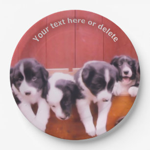 Border Collie Puppies Art Personalised Party    Paper Plate