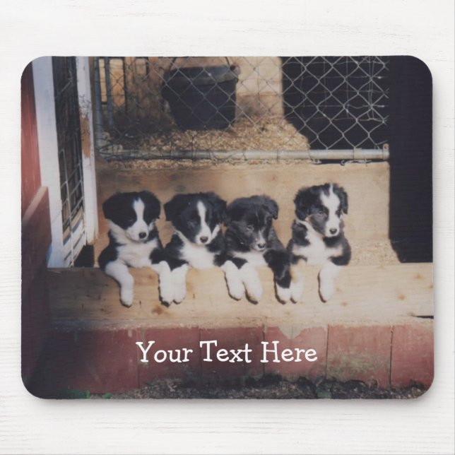 Border Collie Puppies Dog Mousepad (Front)