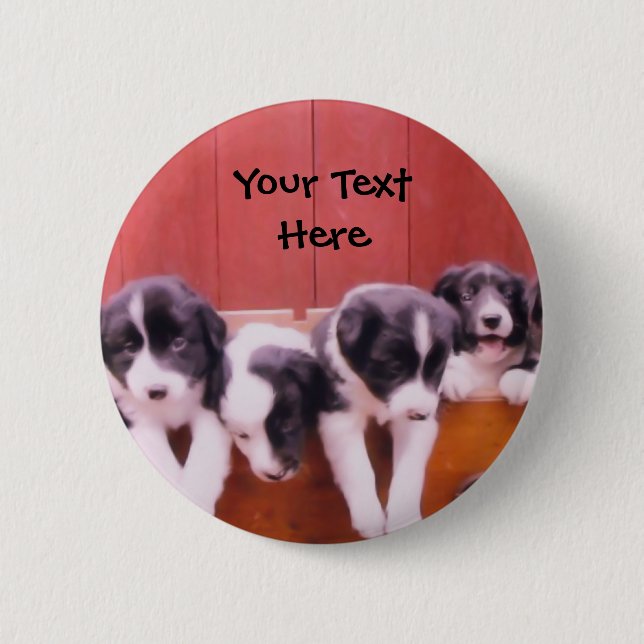 Border Collie Puppies In Drawer Button (Front)