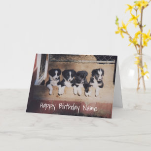 Border Collie Puppies Personalised Birthday Card
