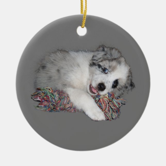 border collie puppy blue merle ceramic tree decoration (Front)
