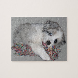 border collie puppy blue merle jigsaw puzzle