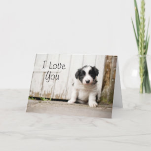 Border Collie Puppy Card