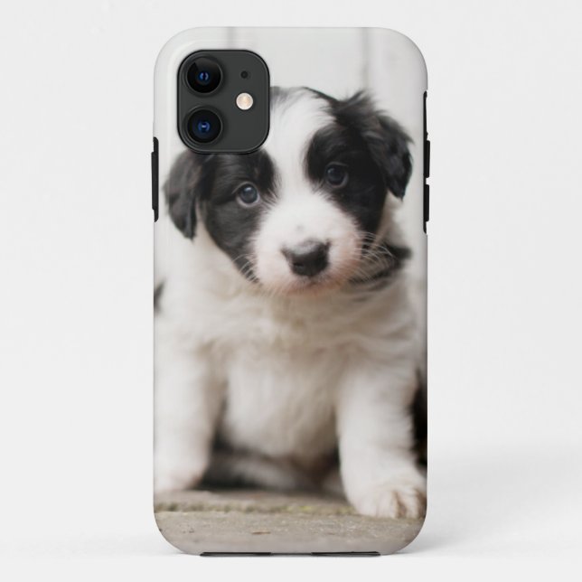 Border Collie Puppy Case-Mate iPhone Case (Back)