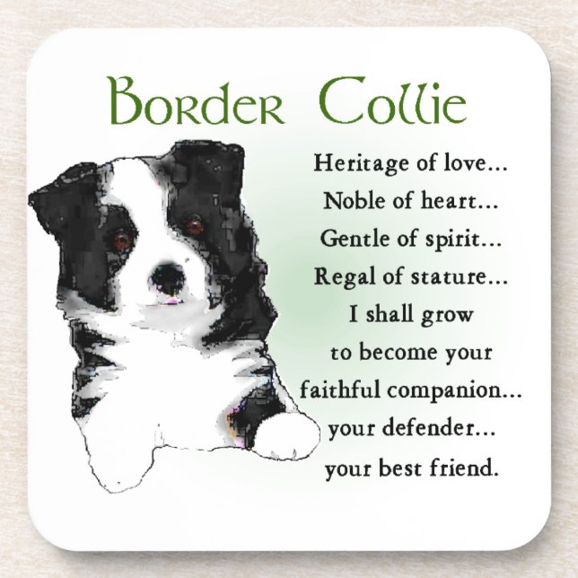 Border Collie Puppy Coaster (Front)